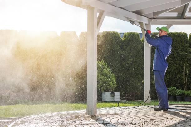 Best Boat and Dock Cleaning  in Cambridge, IL
