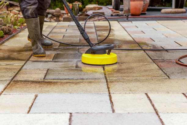 Best Animal Enclosure Cleaning  in Cambridge, IL